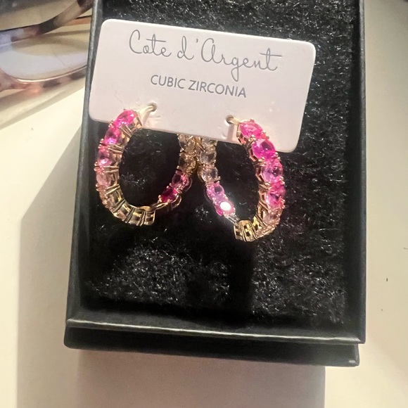 Gorgeous new earrings - Picture 1 of 2